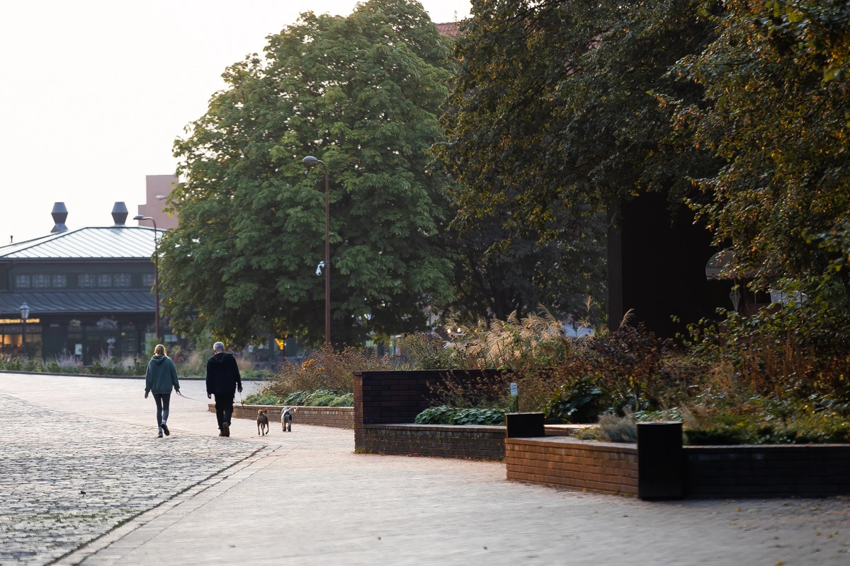 Александр Подгорчук