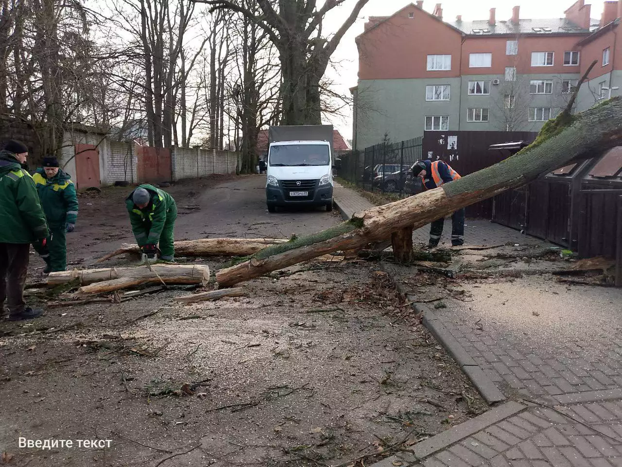 телеграм-канал Елены Дятловой