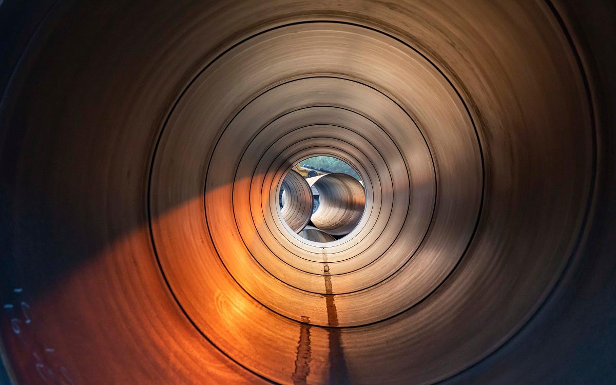 Фото:Shutterstock