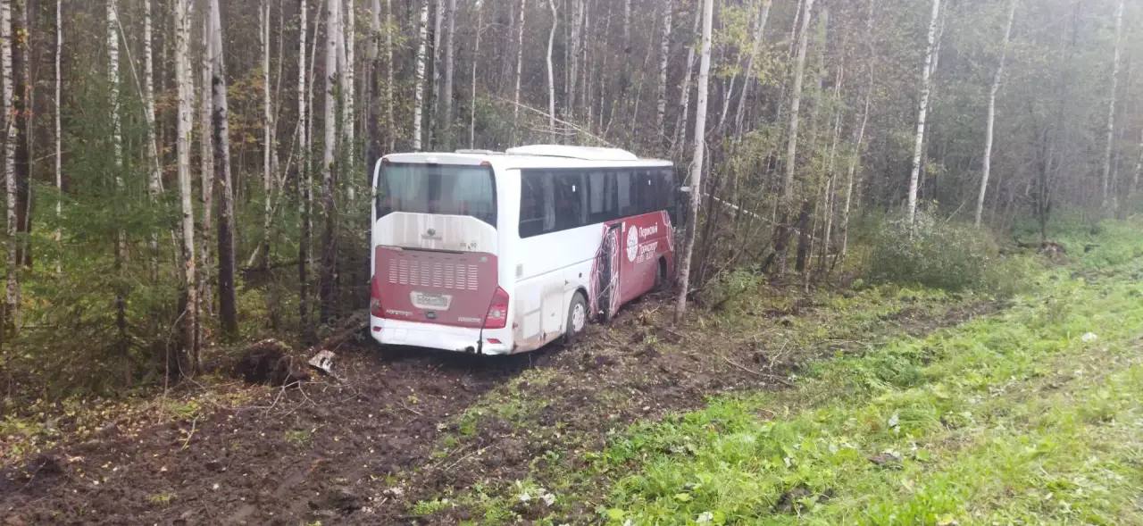 В Добрянском округе устанавливают обстоятельства смертельного ДТП