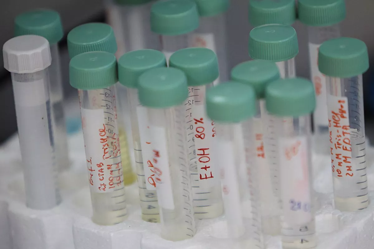 Александр Подгорчук