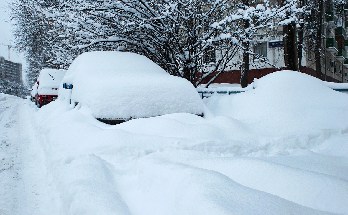 Дарья Широкова / РБК
