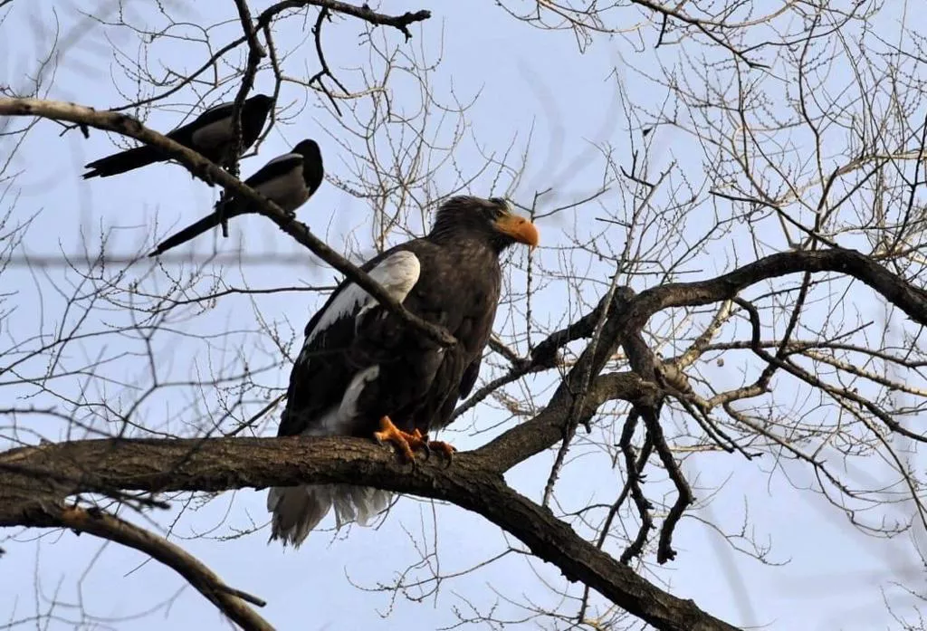 РБК Приморье