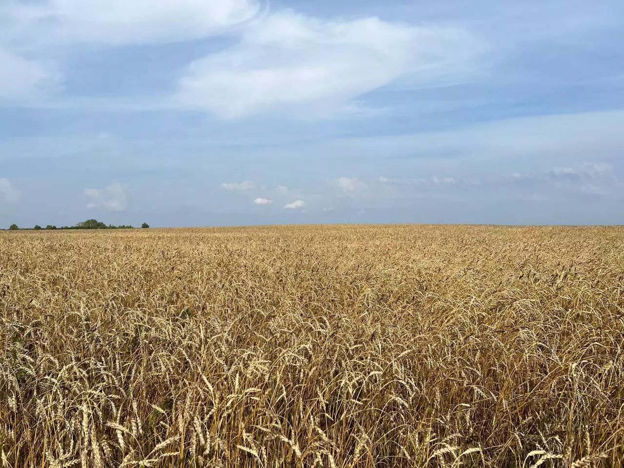 РБК Татарстан