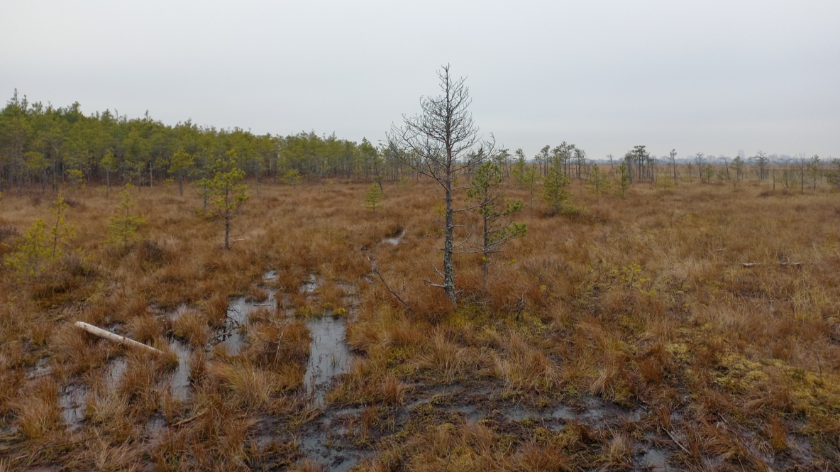 Фото: eco-trails.ru