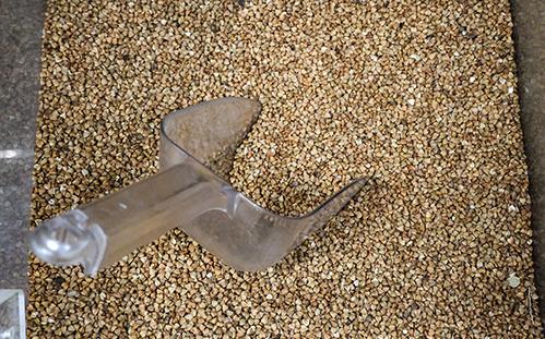 Фото: Сергей Лантюхов / NEWS.ru / Global Look Press