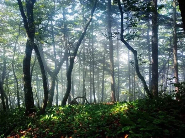 РБК Приморье