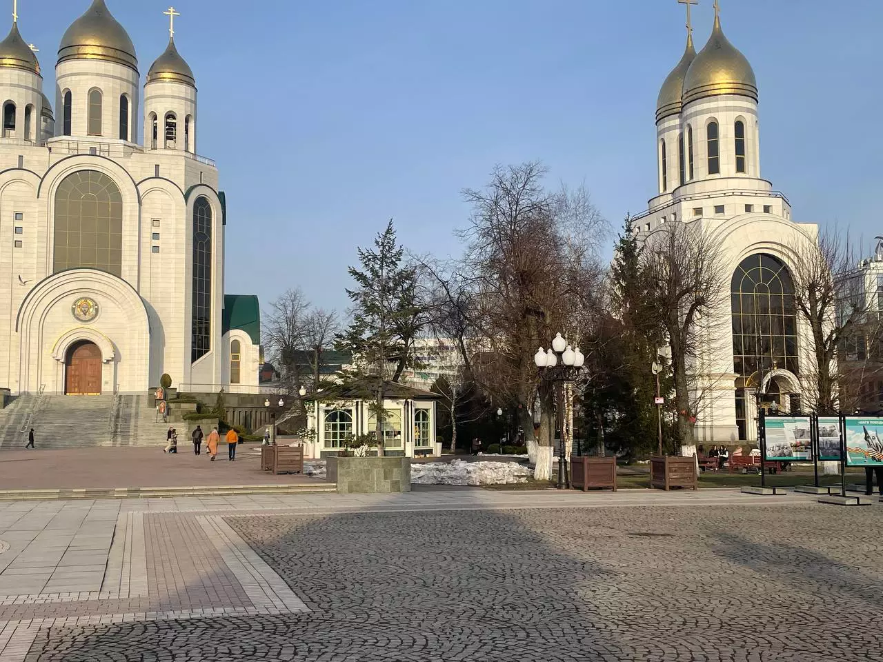 Марина Маркевич
