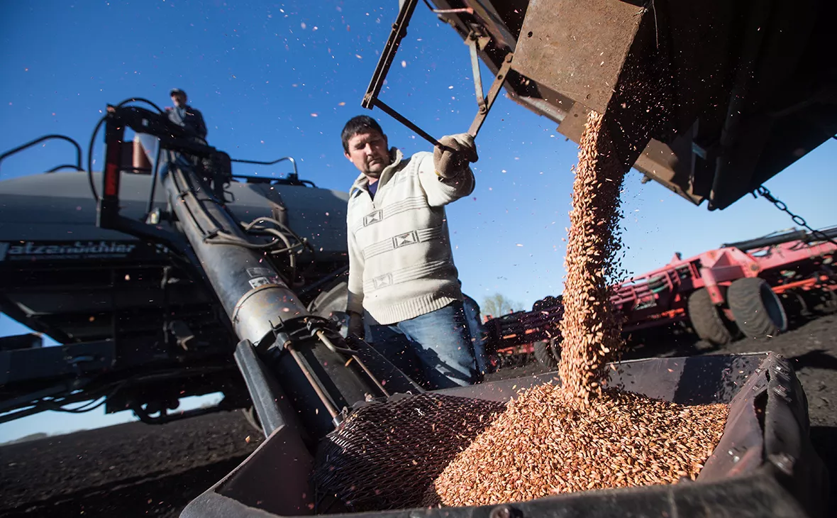 Егор Алеев / ТАСС