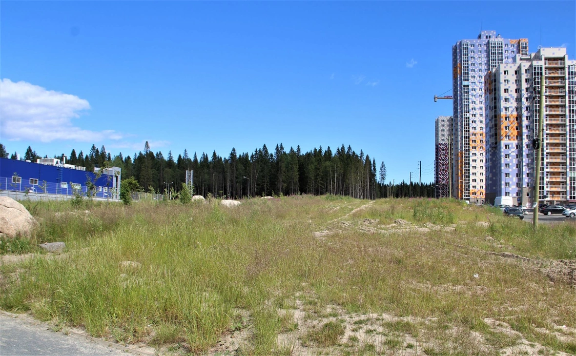 petrosovet.info