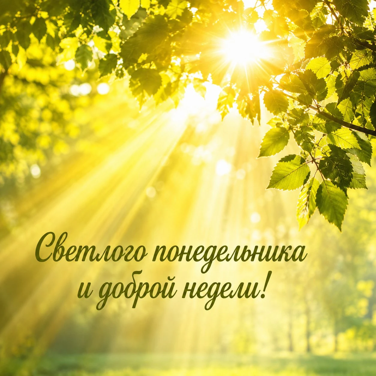 Красивая открытка с солнечными лучами и пожеланием доброй недели