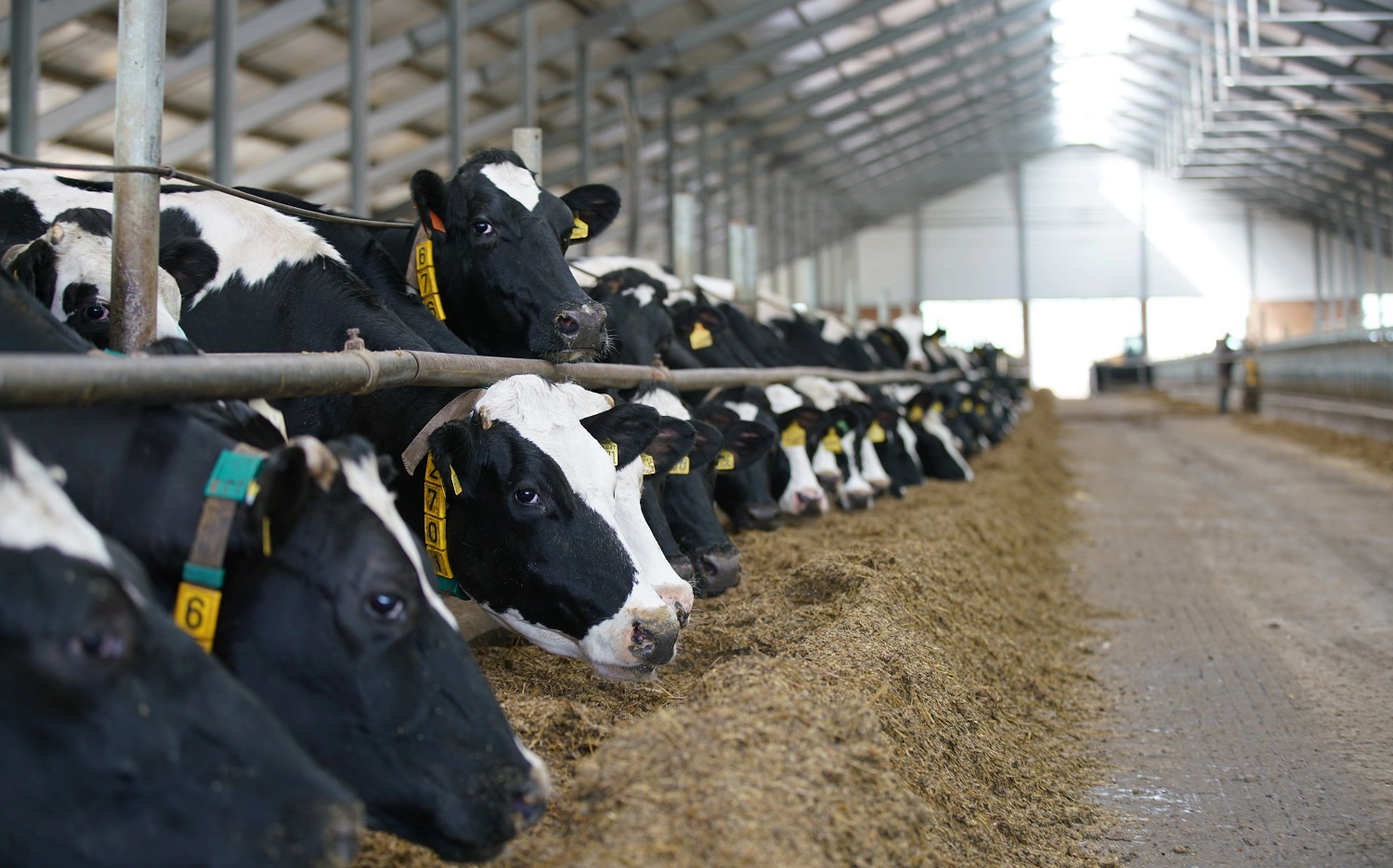 Пресс-служба компании «ЭкоНива»