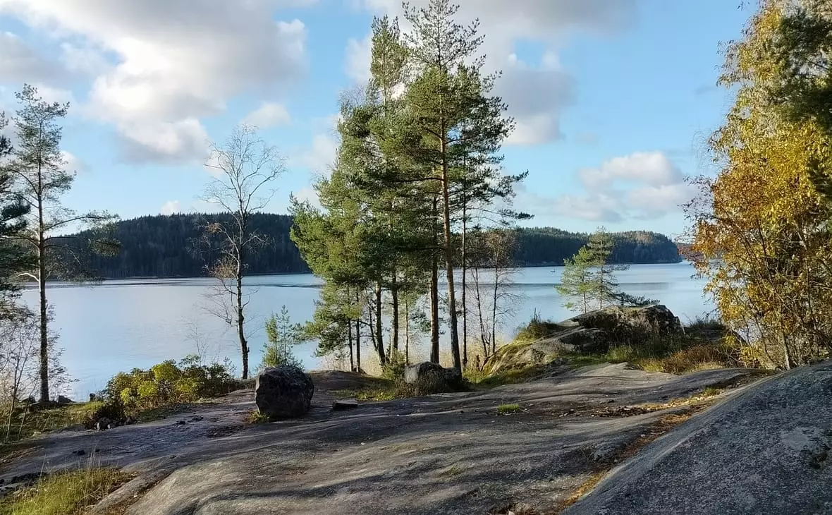 РБК Карелия