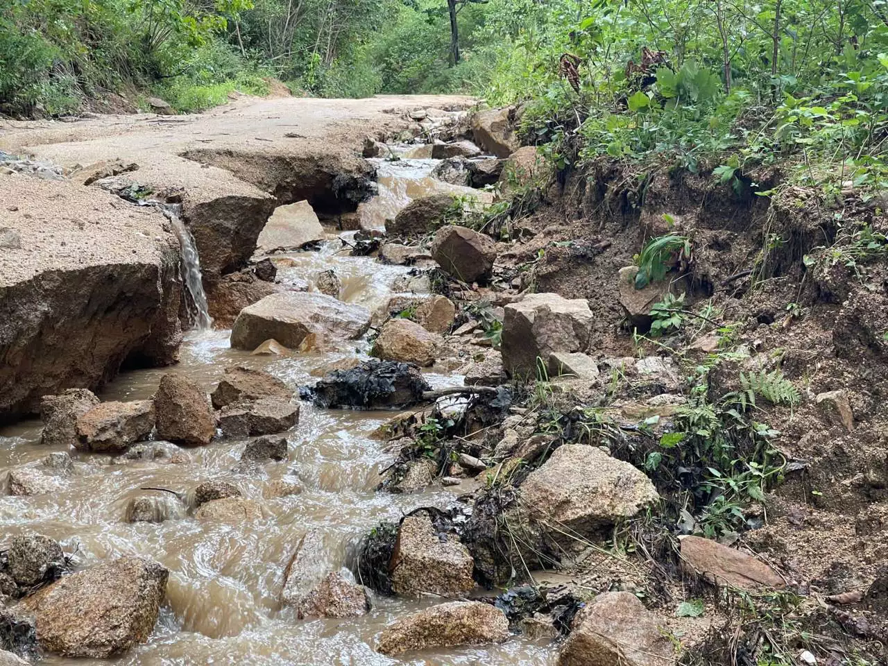 РБК Приморье 