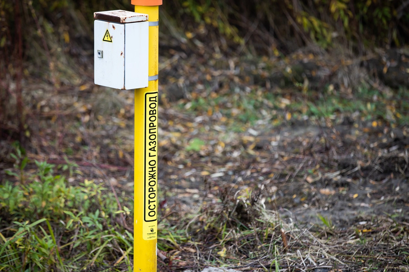 Александр Подгорчук