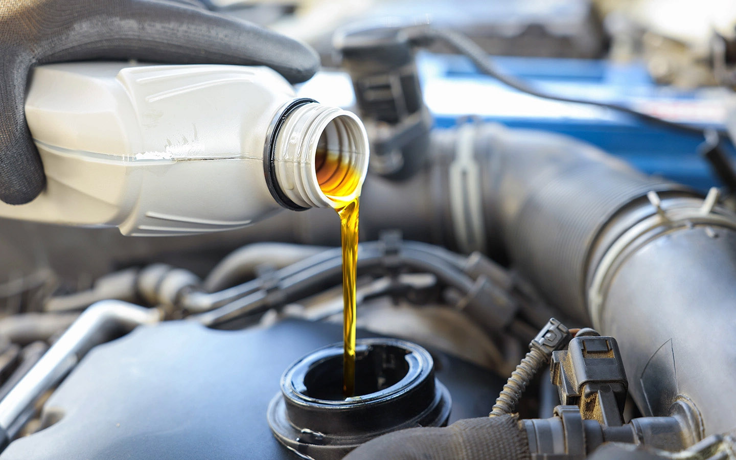 Фото: New Africa / Shutterstock / FOTODOM