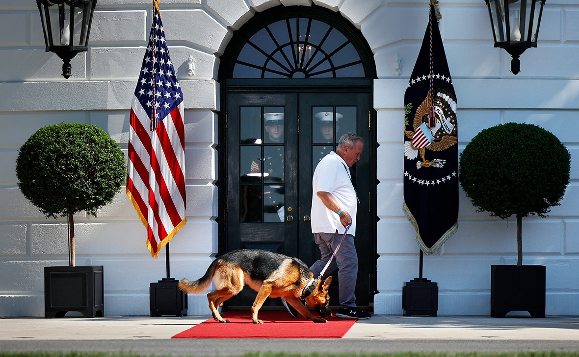 Chip Somodevilla / Getty Images