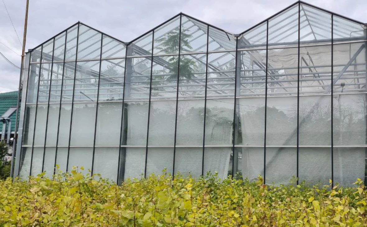 РБК Черноземье