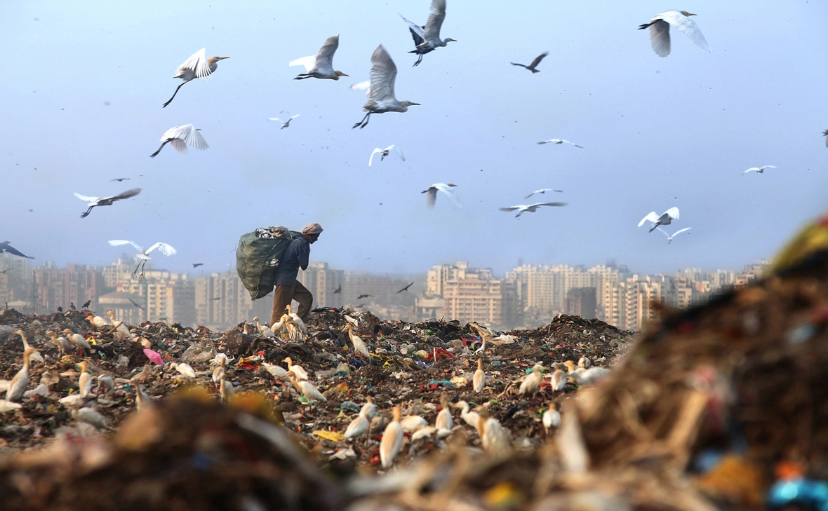 Chinky Shukla / ZUMAPRESS.com / Global Look Press