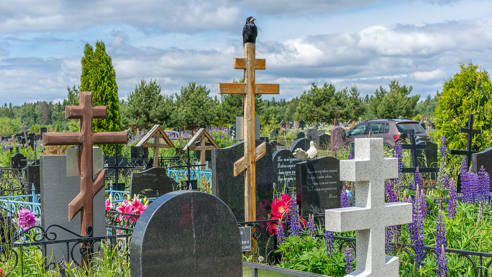 Фото: Oleg1824 / Shutterstock / FOTODOM