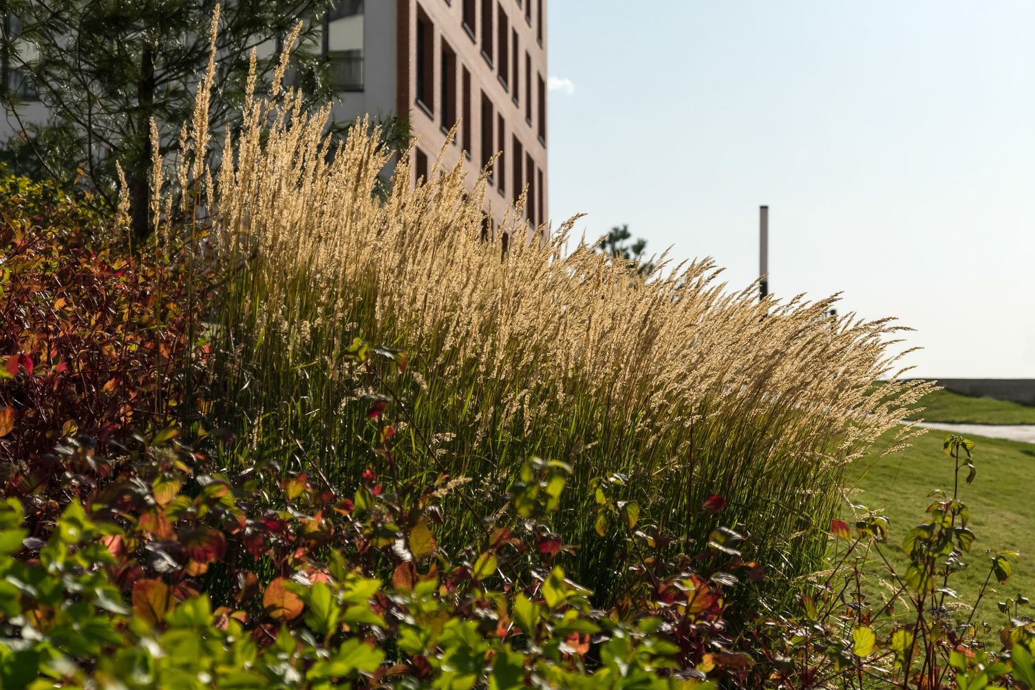 Фото: brusnika.ru