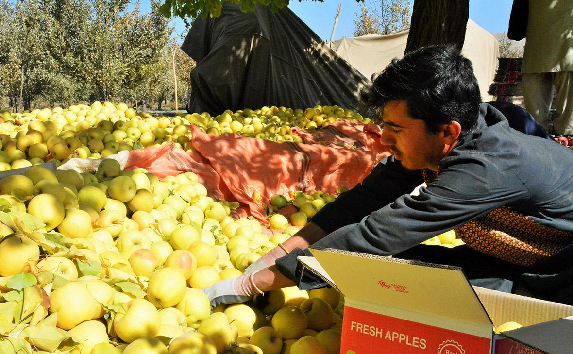 Фото:Rohullah / XinHua / Global Look Press