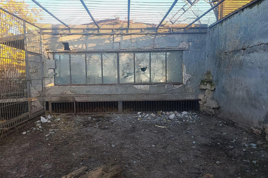 Фото: BalitskyEV / Telegram