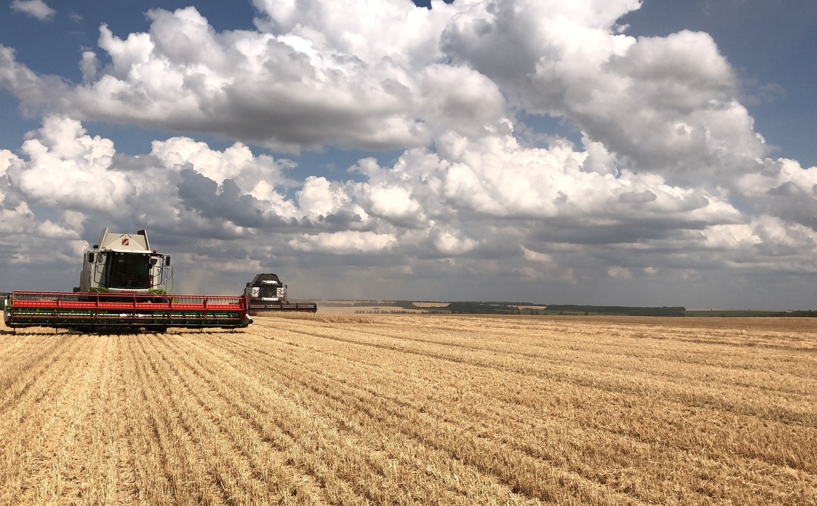 Выручка агрохолдинга «Степь» в 2020 году выросла на 15%