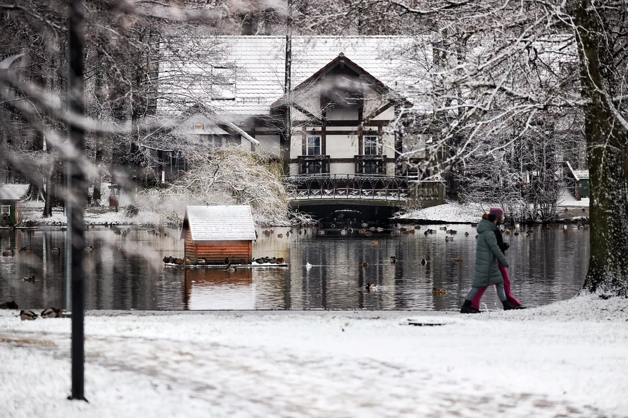 Александр Подгорчук