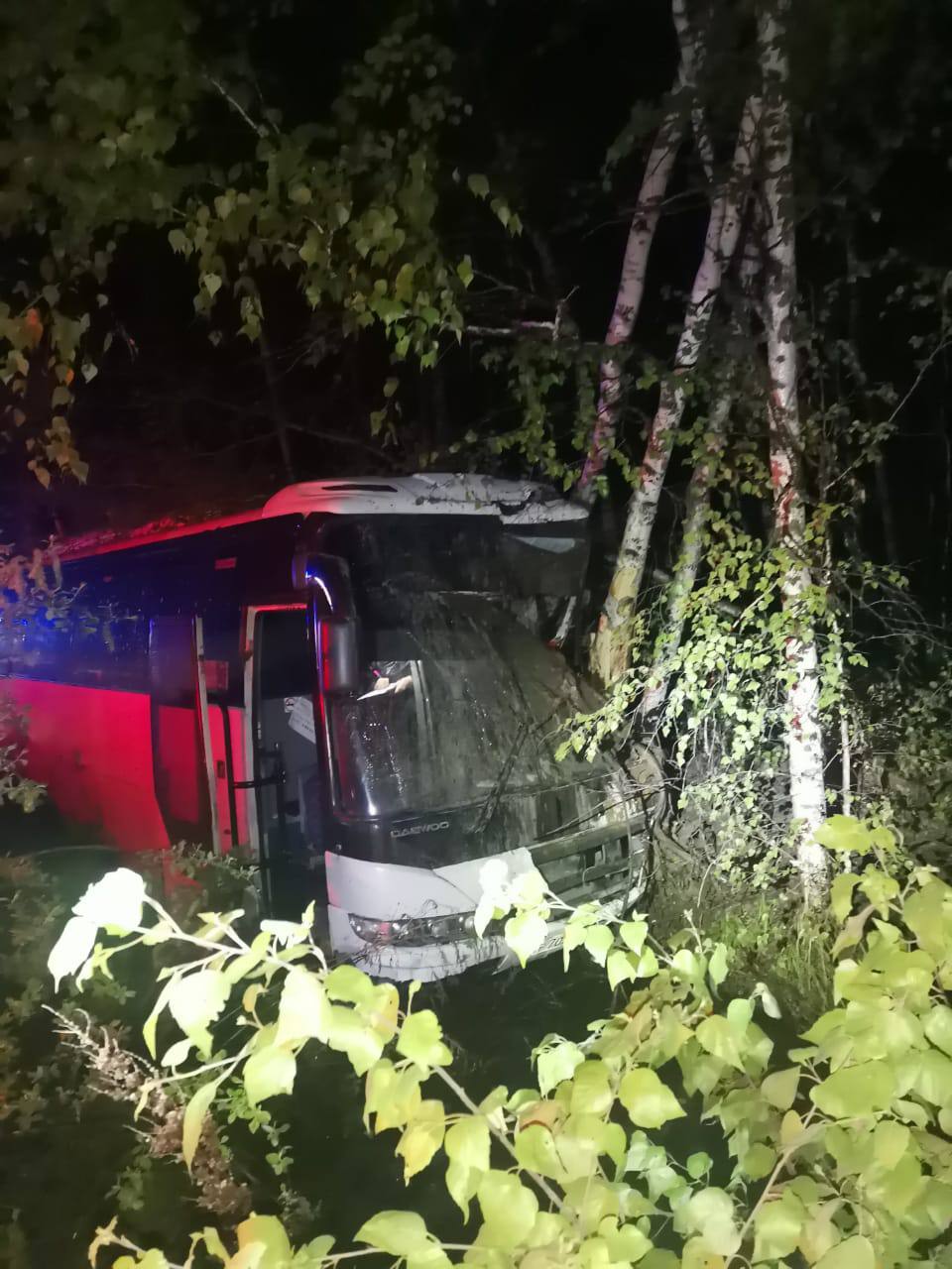 В Хабаровском крае пассажирский автобус врезался в дерево — РБК