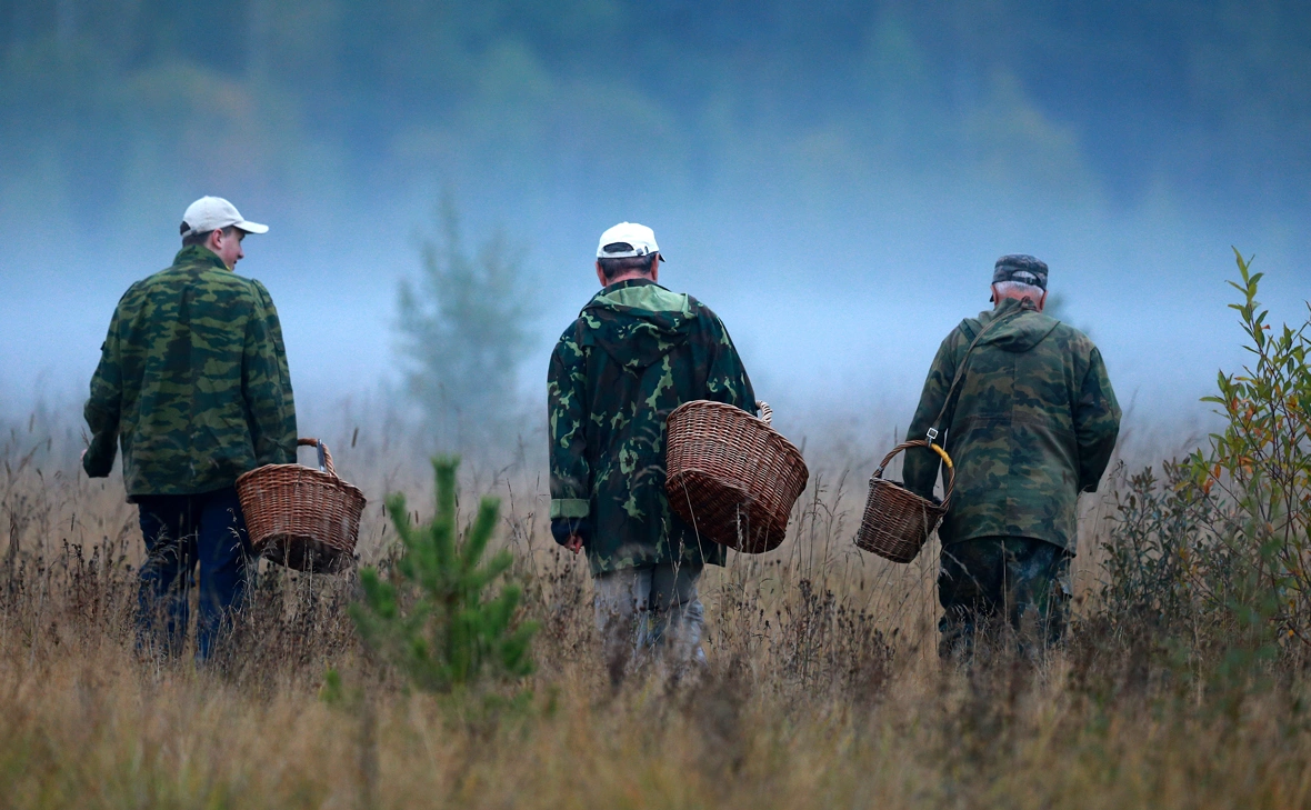 Владимир Смирнов / ТАСС