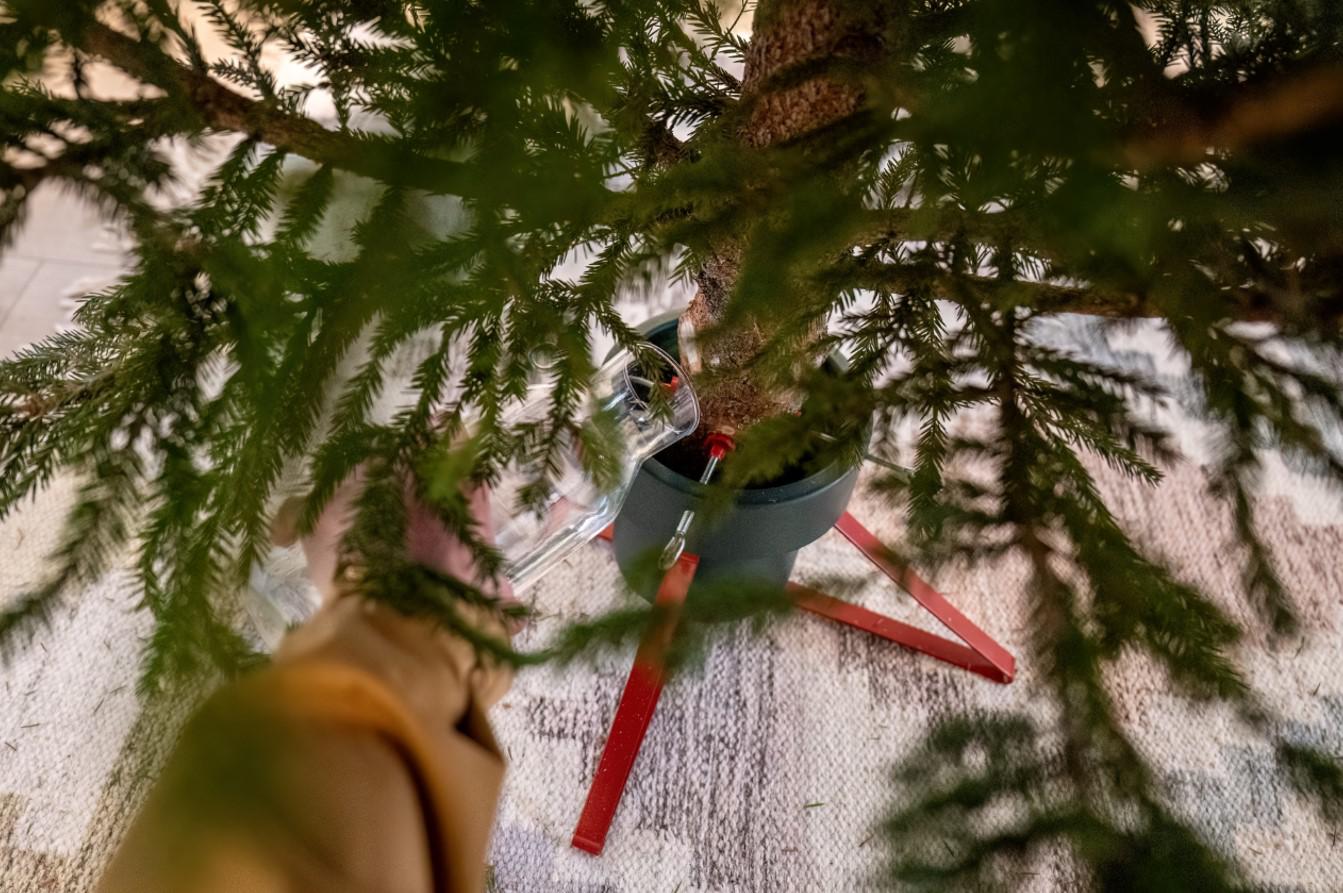 Фото: Anastasiia Akh / Shutterstock / FOTODOM