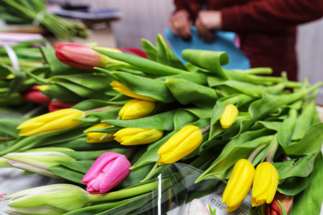 Цветочный рынок может остаться без тюльпанов