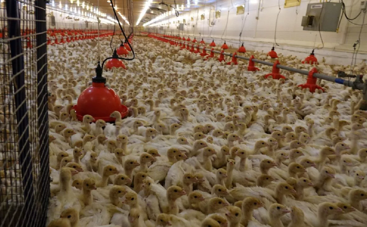 пресс-служба правительства РБ