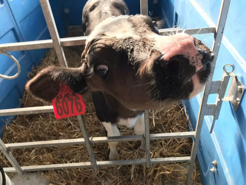 РБК Приморье