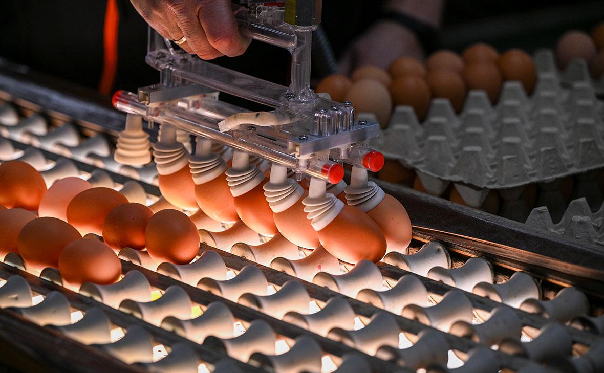 Правительство утвердило обнуление пошлины на ввоз яиц до июля 2024