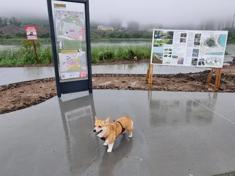 РБК Приморье