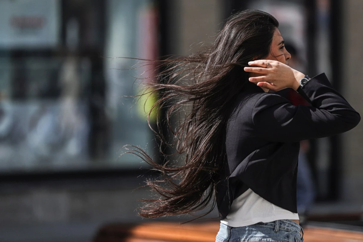 Размик Закарян / URA.RU