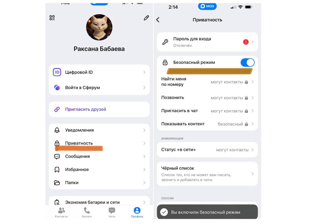 Так в разделе &laquo;Приватность&raquo; выглядит включенный безопасный режим