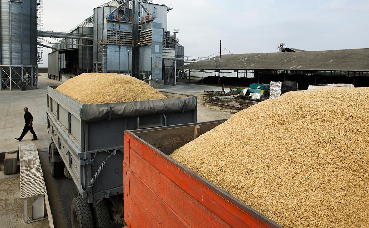 Фото: Виталий Тимкив / ТАСС