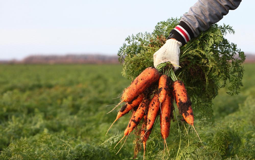 Фото: Shutterstock