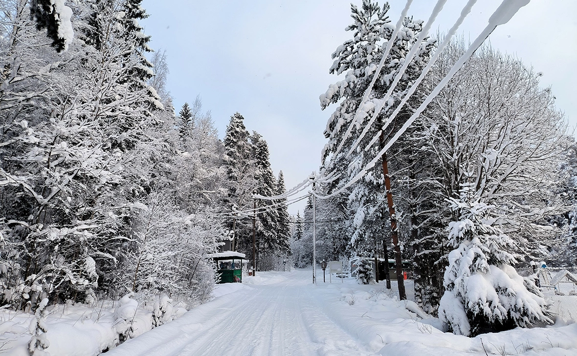 Максим Константинов / Global Look Press