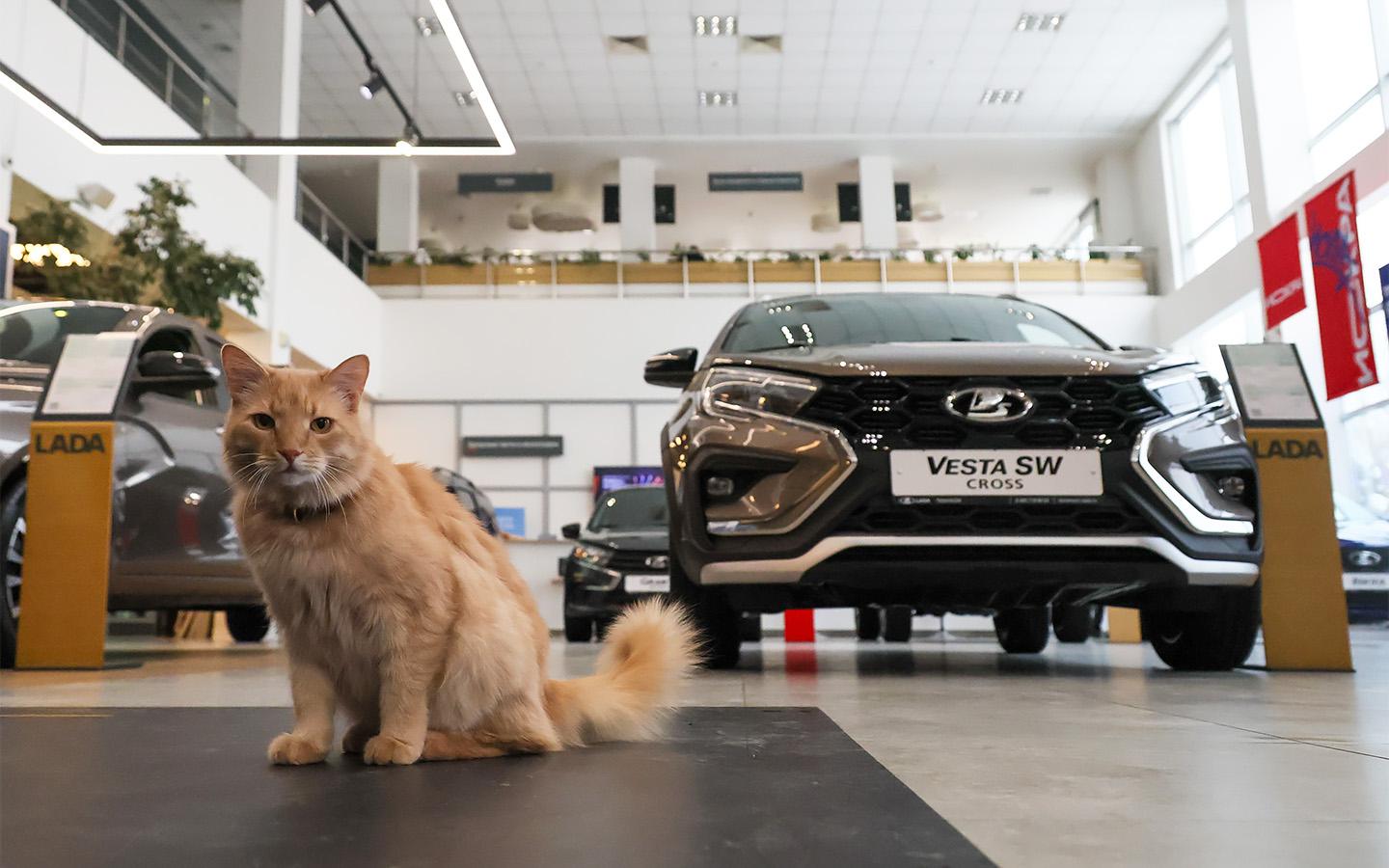 Фото: Belkin Alexey / NEWS.ru / Global Look Press