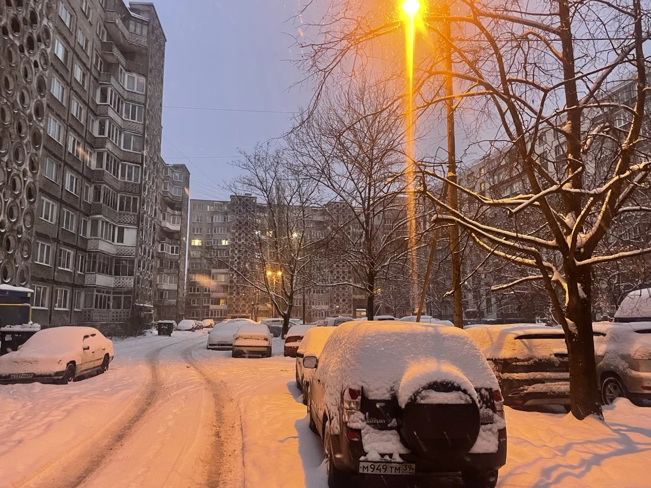 Марина Маркевич