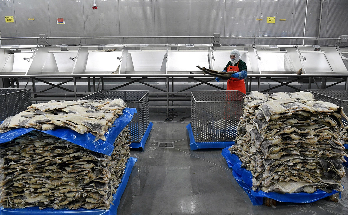 Лев Федосеев / ТАСС