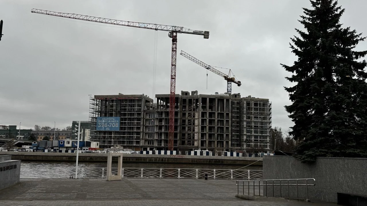 Марина Маркевич