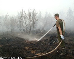МЧС: Все лесные пожары на Дальнем Востоке потушены