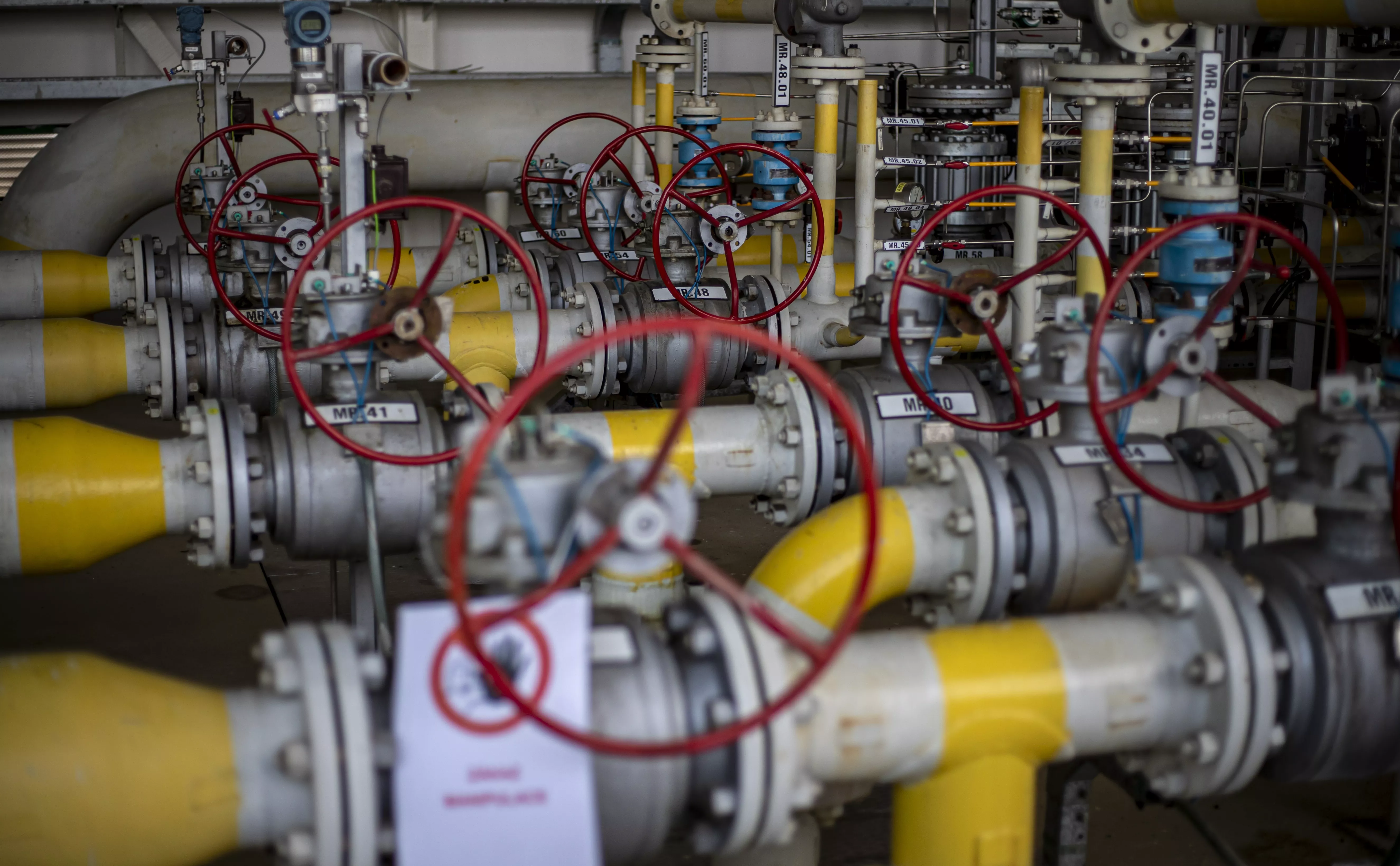 Martin Divisek /  EPA / ТАСС