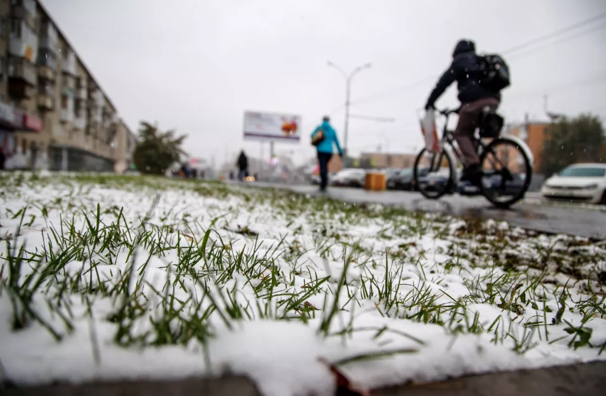 Александр Мамаев / РИА URA.RU
