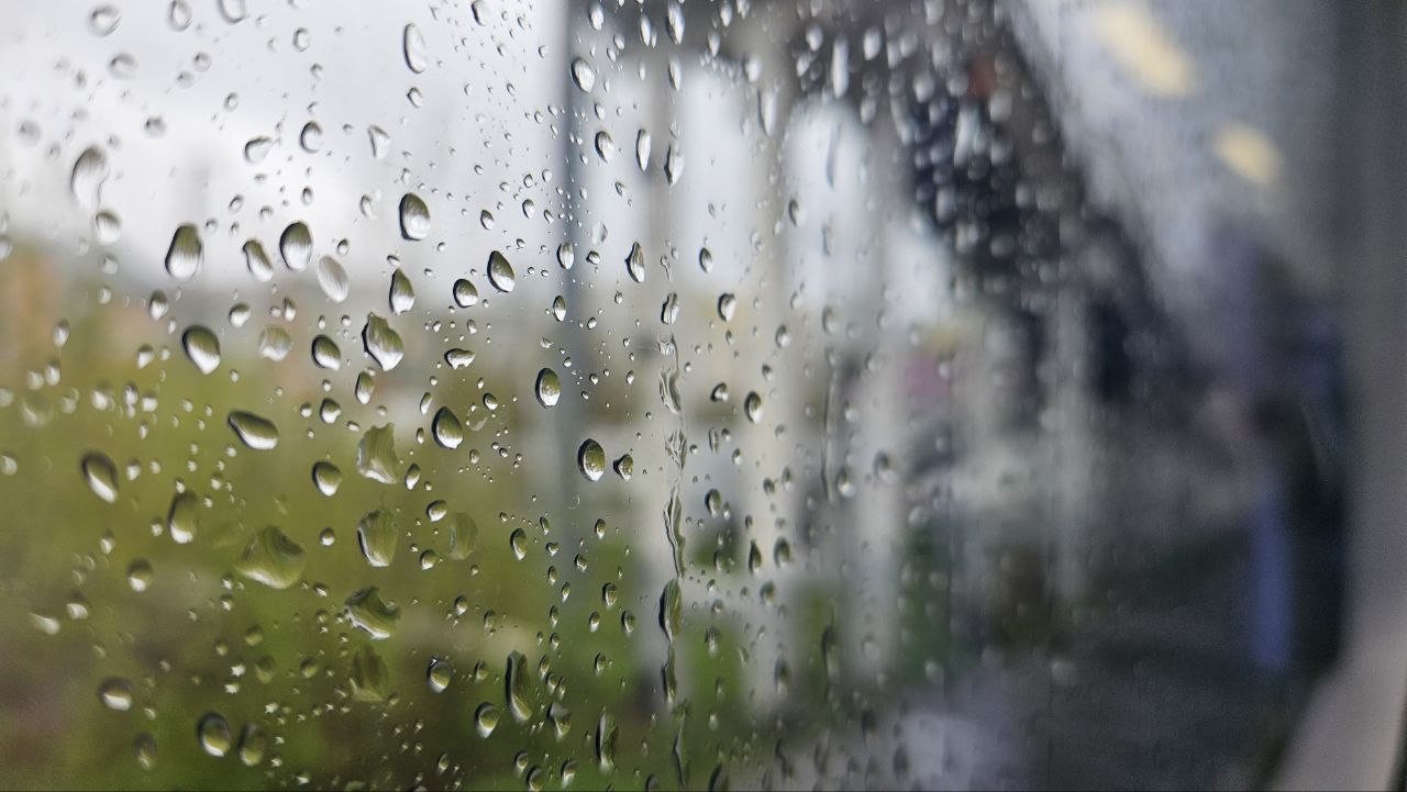 Фото: РБК Пермь